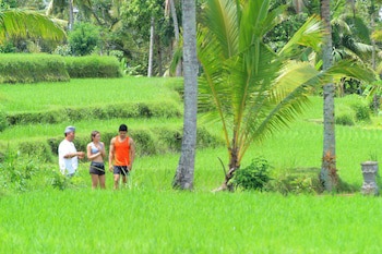 Ashoka Tree Resort At Tanggayuda, Ubud