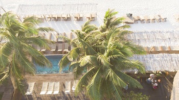 Amansala