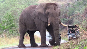 Leopard Walk Lodge