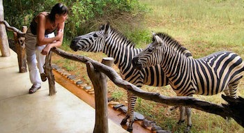 Leopard Walk Lodge