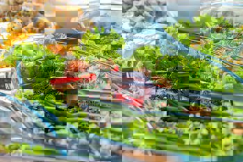 Miss Royal Hotel & Spa