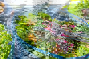 Miss Royal Hotel & Spa