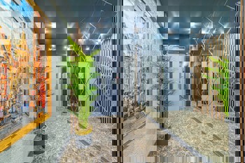 Miss Royal Hotel & Spa