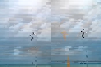 Miss Royal Hotel & Spa