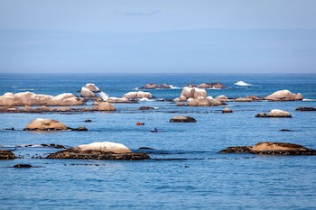 Abalone Hotel And Villa's