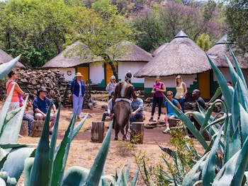 Aha Lesedi Cultural Village