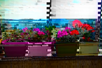 Esans Hotel - Special Class