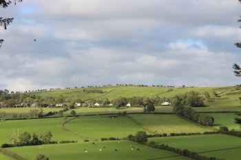 Woodlands Country House