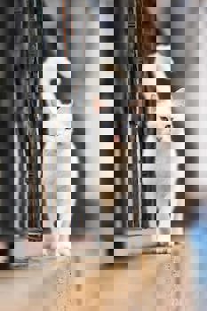 Nature Park Cave Hotel