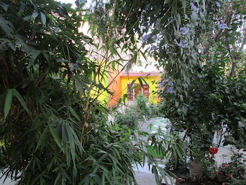 Hotel Zen