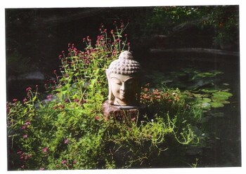 Hotel Zen