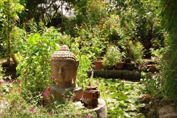 Hotel Zen