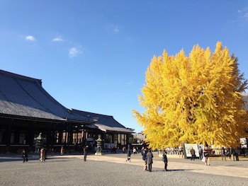 Apa Hotel Kyoto Ekimae Chuoguchi