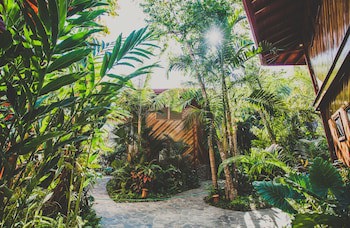 Tambor Tropical - Adults Only
