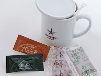 Candeo Hotels Kumamoto Airport Kikuyo