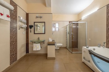 Vijayshree Resort And Heritage Village