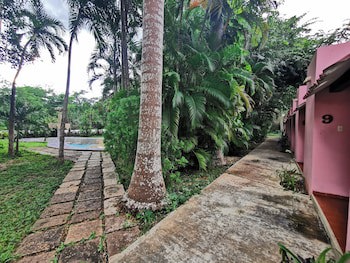 Dolores Alba Chichen