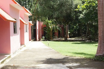 Dolores Alba Chichen