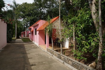 Dolores Alba Chichen
