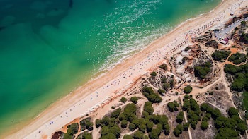 Algardia Apartments