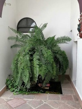 El Serafin Hotel Boutique