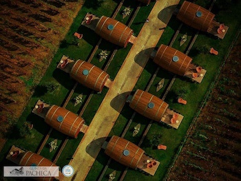 The Wine House Hotel - Quinta Da Pacheca