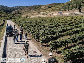 The Wine House Hotel - Quinta Da Pacheca