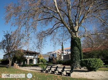 The Wine House Hotel - Quinta Da Pacheca