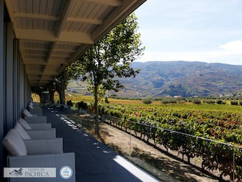 The Wine House Hotel - Quinta Da Pacheca