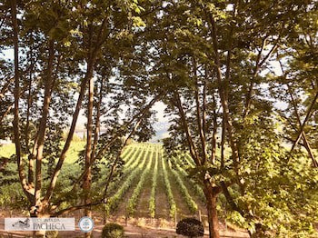 The Wine House Hotel - Quinta Da Pacheca