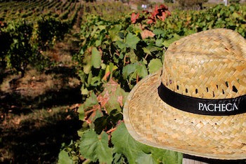 The Wine House Hotel - Quinta Da Pacheca