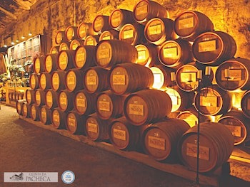 The Wine House Hotel - Quinta Da Pacheca