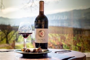The Wine House Hotel - Quinta Da Pacheca