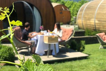 The Wine House Hotel - Quinta Da Pacheca