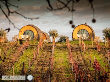 The Wine House Hotel - Quinta Da Pacheca