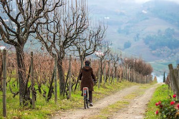 The Wine House Hotel - Quinta Da Pacheca