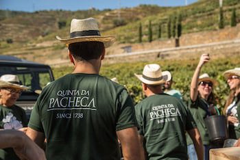 The Wine House Hotel - Quinta Da Pacheca