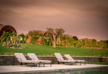 The Wine House Hotel - Quinta Da Pacheca