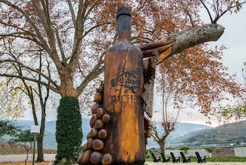 The Wine House Hotel - Quinta Da Pacheca