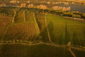 The Wine House Hotel - Quinta Da Pacheca