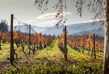The Wine House Hotel - Quinta Da Pacheca
