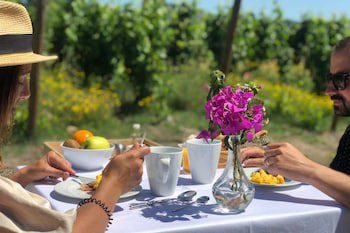 The Wine House Hotel - Quinta Da Pacheca