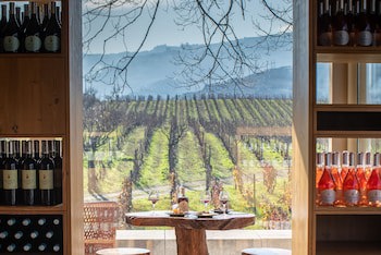 The Wine House Hotel - Quinta Da Pacheca