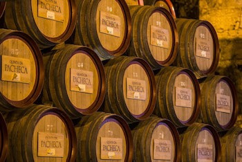 The Wine House Hotel - Quinta Da Pacheca