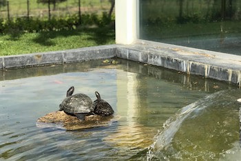 The Wine House Hotel - Quinta Da Pacheca