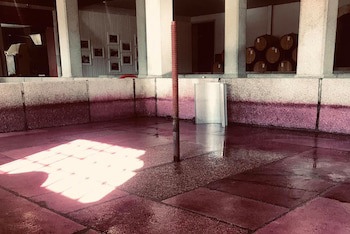 The Wine House Hotel - Quinta Da Pacheca