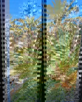 My Marin Hotel - Boutique Class