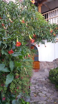 El Balcon