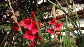 El Balcon