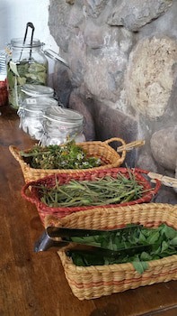 El Balcon
